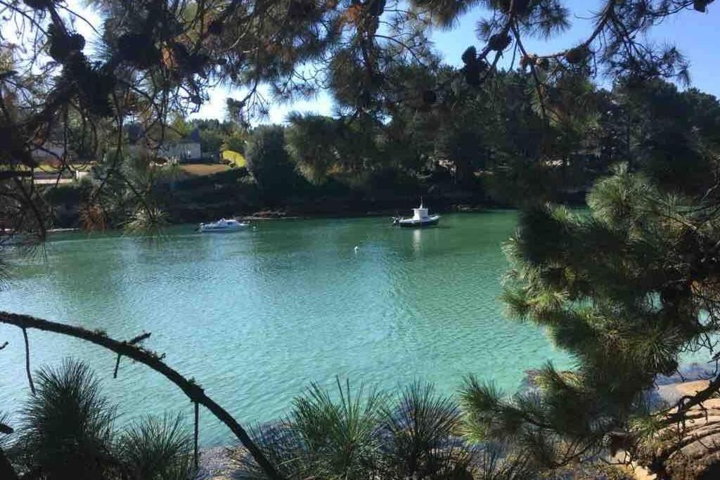 L'Olivier Du Cabellou, A 900 M Des Plages Concarneau Kültér fotó